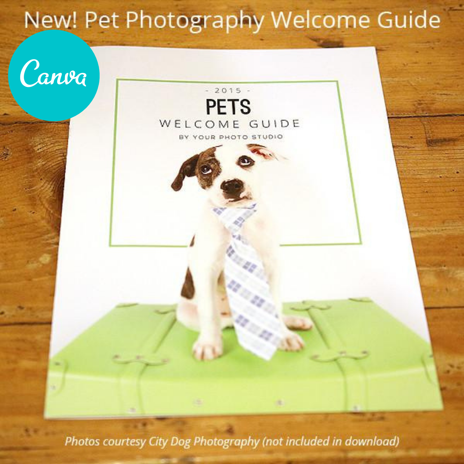 Pet 2024 canva discount